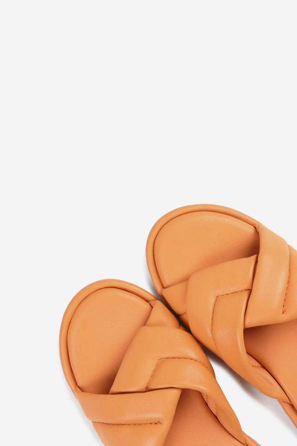 Delan-y -  - Bobbie Rose