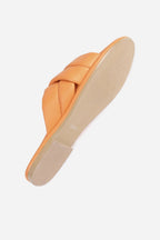 Delan-y -  - Bobbie Rose